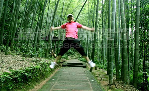 陜西展覽館設(shè)計