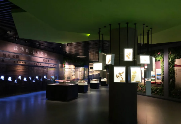 解析武功山地質(zhì)博物館設(shè)計(jì)元素