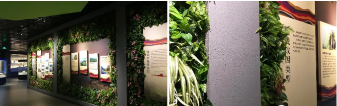 解析武功山地質(zhì)博物館設(shè)計(jì)元素