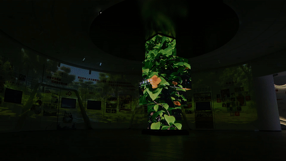 幸福主題展館設(shè)計(jì)-渭南富平幸福之路展示館 幸福主題展館設(shè)計(jì)-渭南富平幸福之路展示館